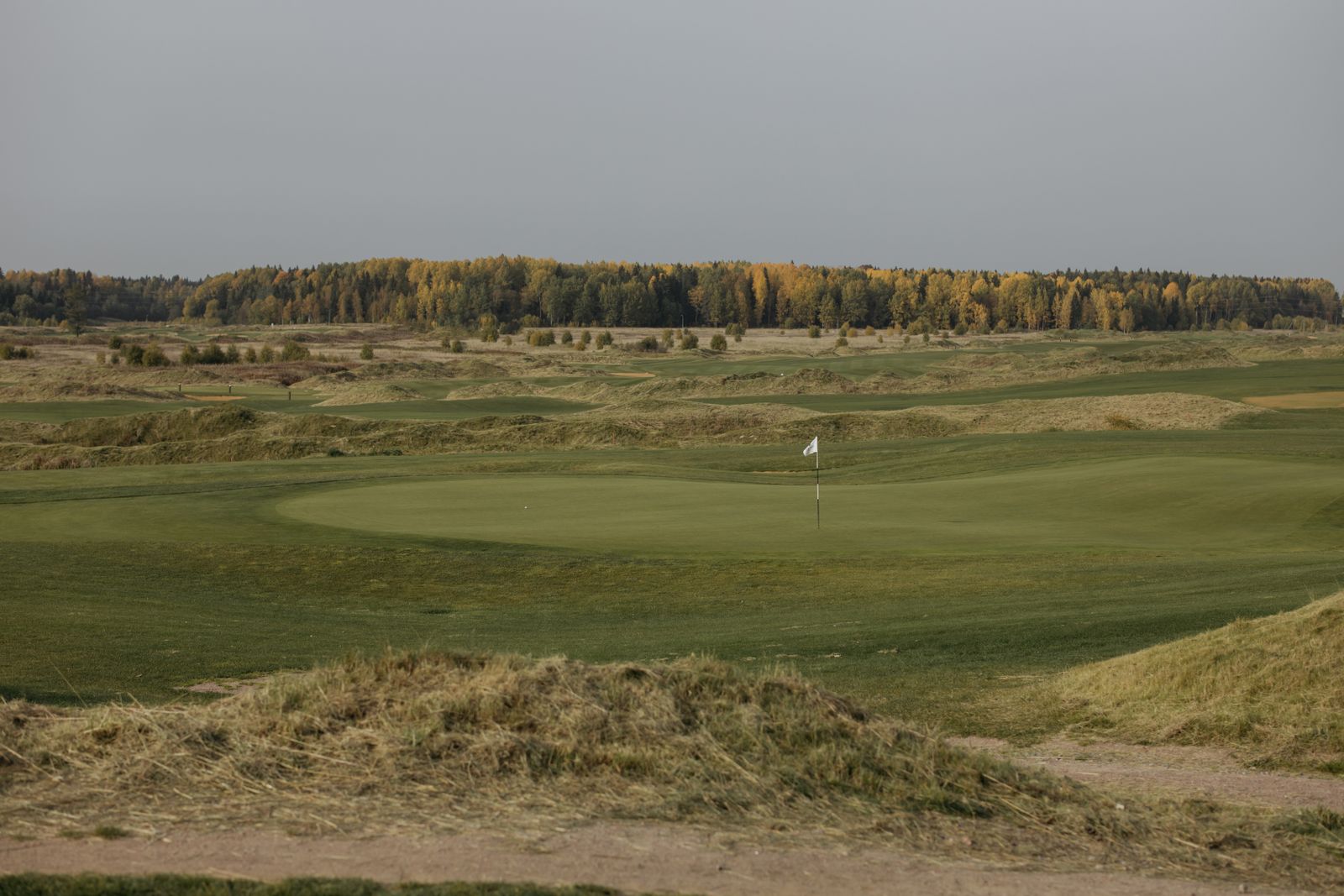 Hovland leads Tour Championship as Scheffler and McIlroy impress